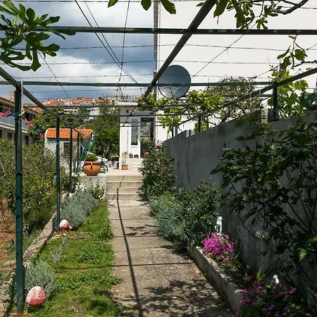 Mini Petra - Purple & With Kitchen And Garden 아파트 *